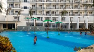 Coconut trees
