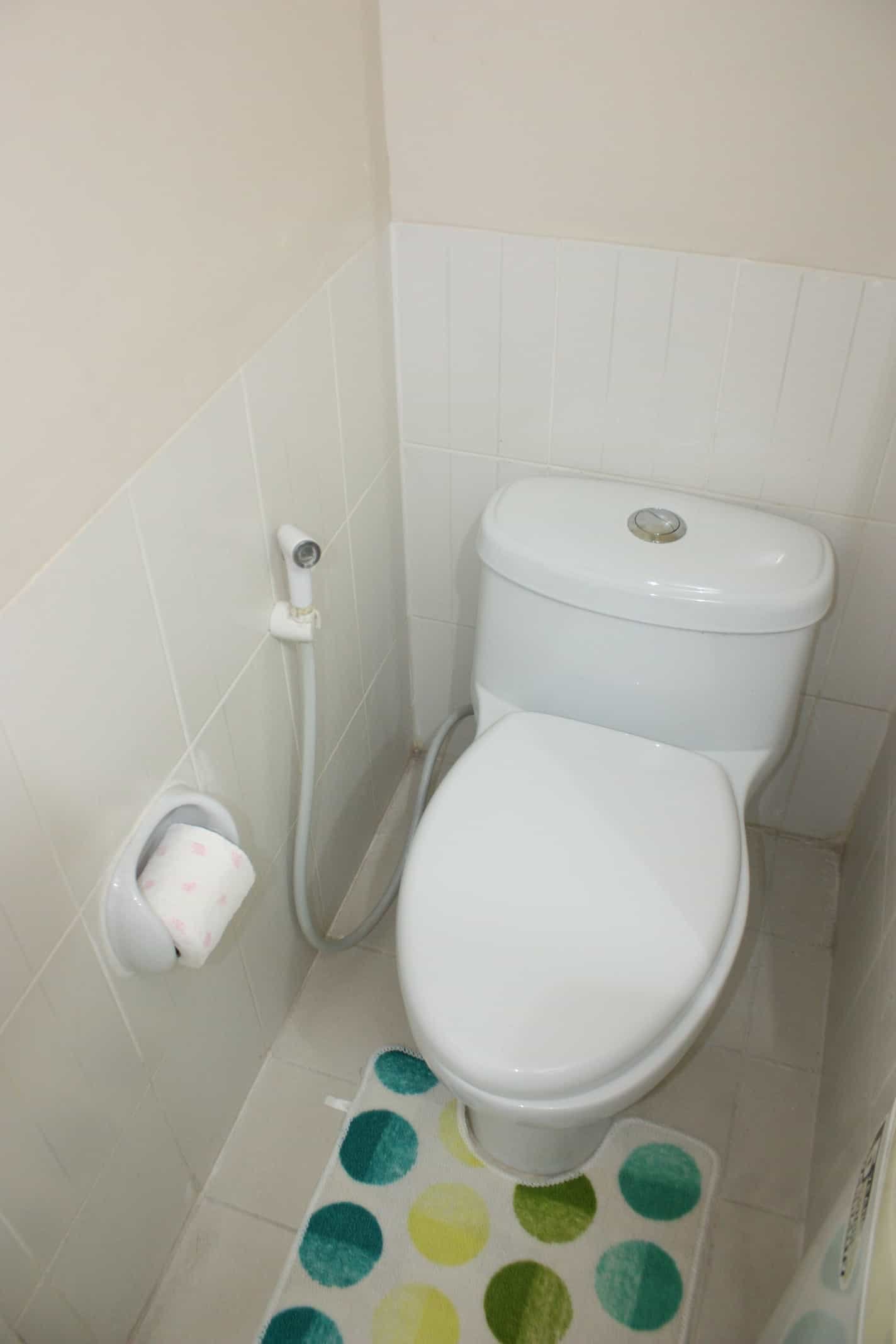 Toilet with bidet