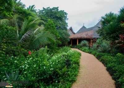 Coco Grove Beach Resort Siquijor